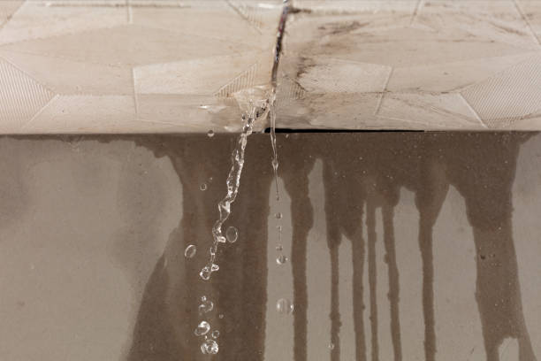 Professional Flood Damage Cleanup technician working in Bellvue, CO